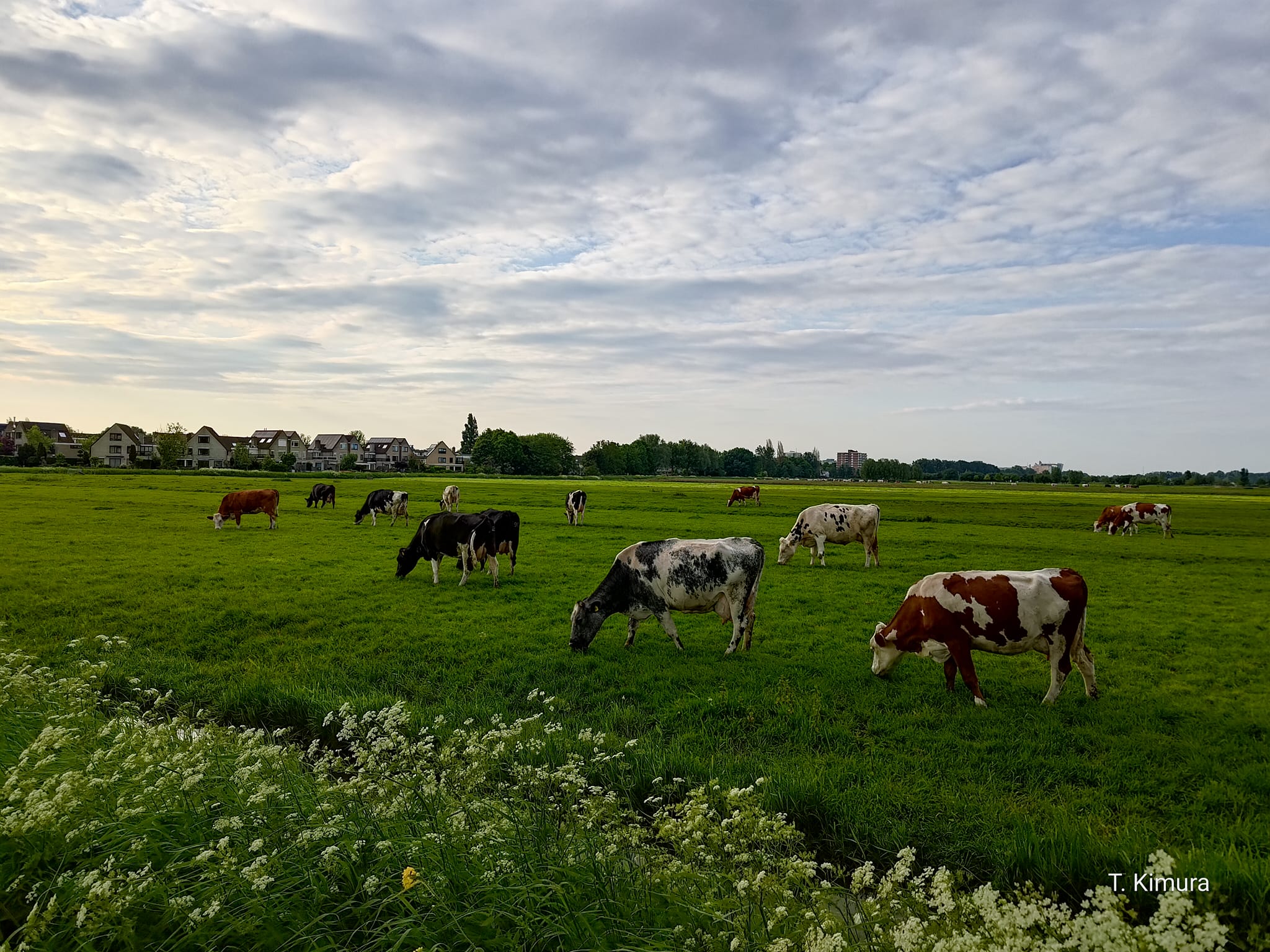 348569959_1271014467187086_760414422497115057_n